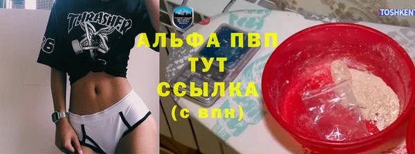 дмт Богородицк