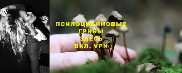 спайс Богородск