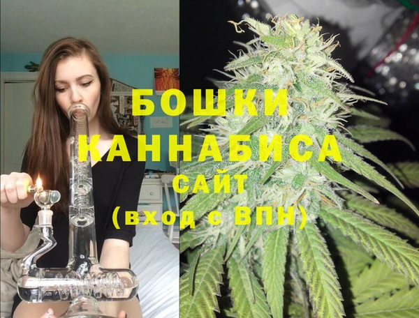 мдпв Белокуриха